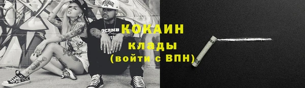 спайс Арсеньев