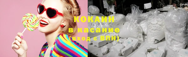 крисы Аркадак