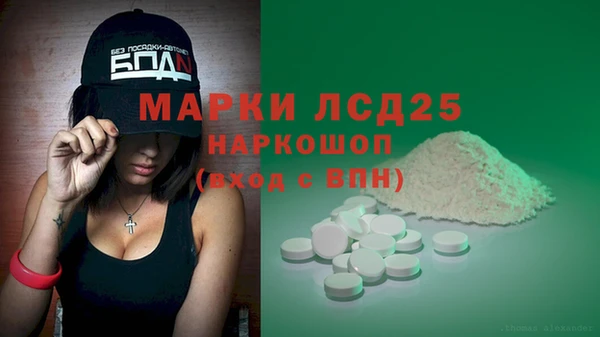 крисы Аркадак
