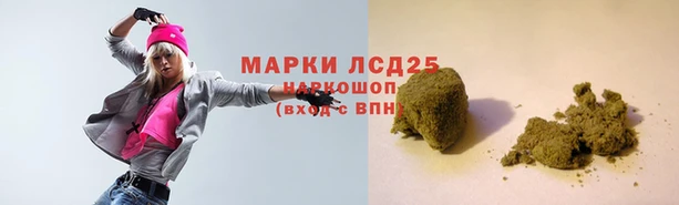 спайс Арсеньев