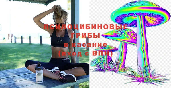 дурь Армянск