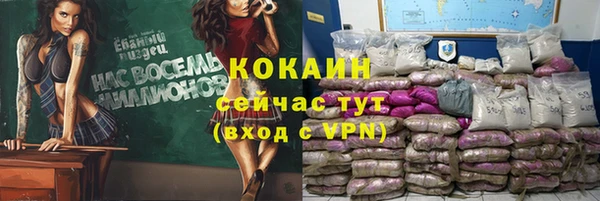 спайс Арсеньев