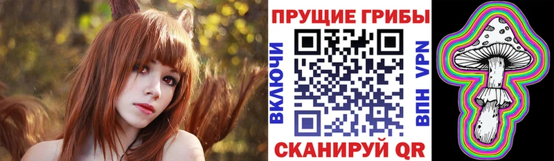 Галлюциногенные грибы Psilocybe  где купить наркотик  Нижний Тагил 